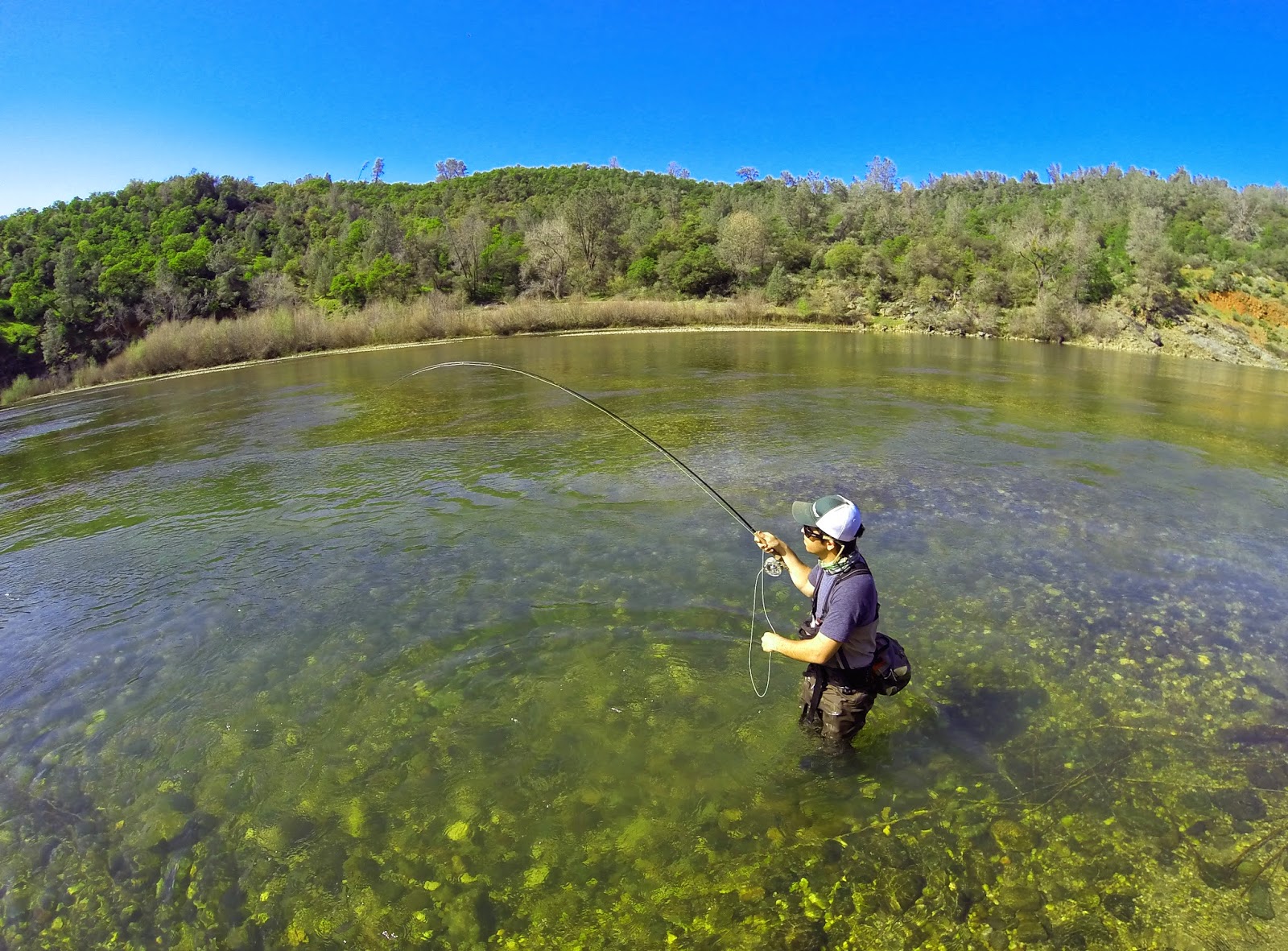 Jon Baiocchi Fly Fishing News Lower Yuba River Fishing Report 3/8/2015