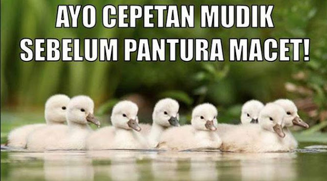 Download DP BBM Mudik Lebaran Idul Fitri 2