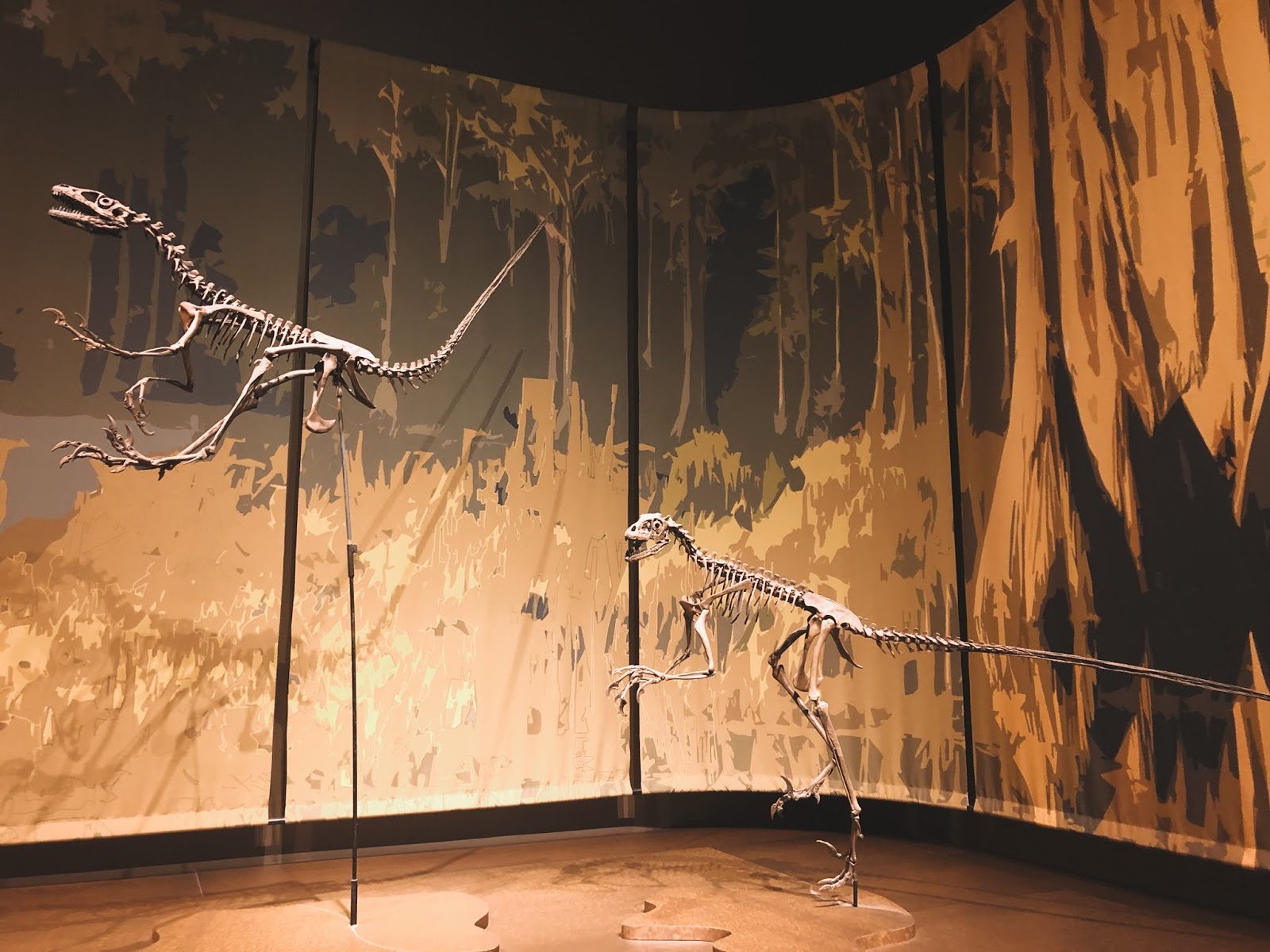 Tellus Science Museum the active spirit.