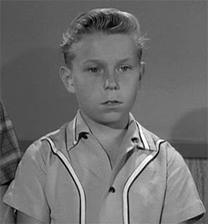 Television's New Frontier: The 1960s: Leave It to Beaver (1960)