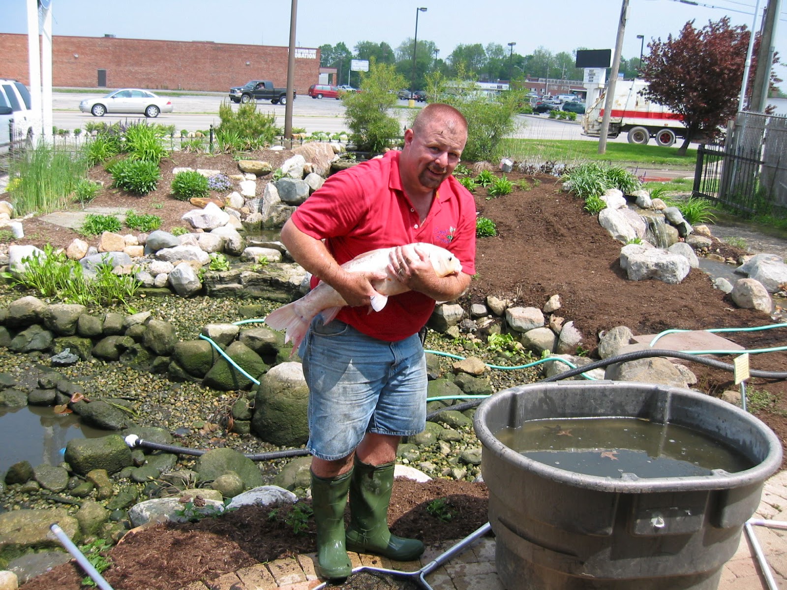 Pond Cleaning Do You Need One?