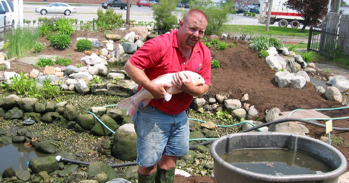 cleaning-pond.jpg