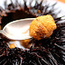 மூரை - Sea Urchin 