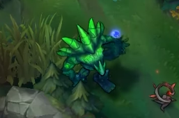 Malphite: O arbusto voador Malphite: O arbusto voador