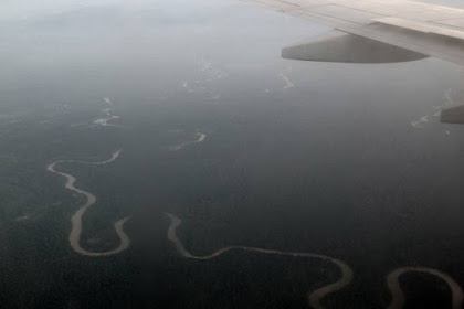 Sucuriju Gigante, hewan yang membentuk sungai Amazon!!!