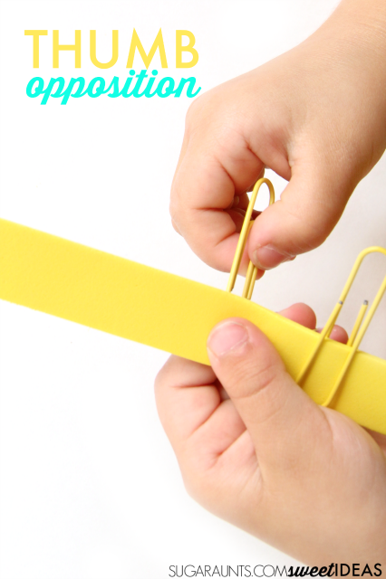 Thumb opposition activity for fine motor skills needed in pencil grasp, buttoning, shoe tying, and zippers.