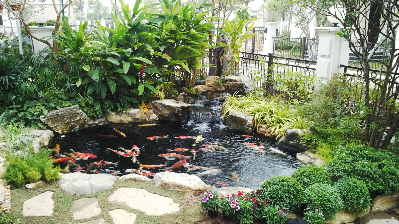 Kết quả hình ảnh cho tiá»u cảnh cá koi