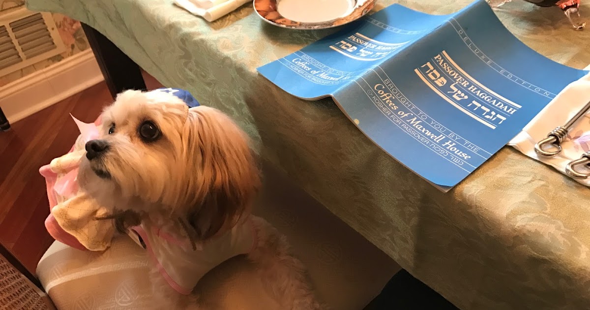 A (soy) Bean Passover