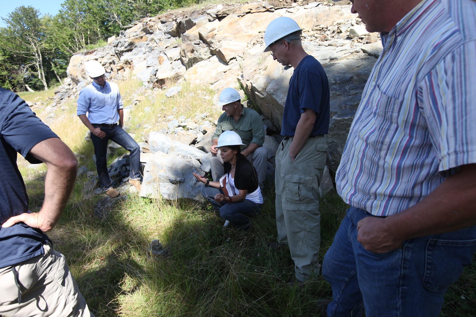 Northeast Ecological Services Understanding wind turbine impacts on