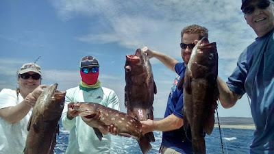 Sea fishing with our charter team