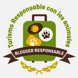 Responsible Travel Blogger