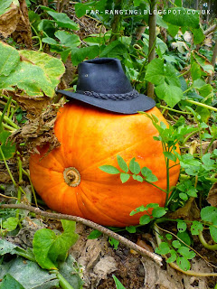 Pumpkin with cowboy hat at the RSPB Wildlife Garden, Flatford