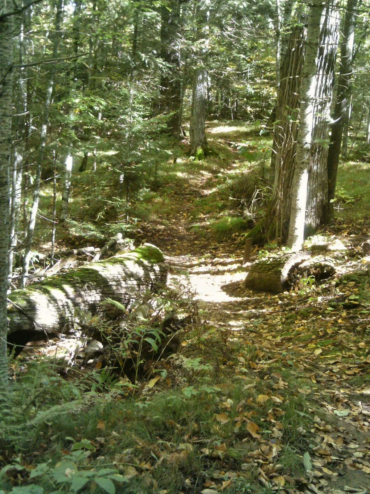 Day Hiking Trails Array of trails crisscross Drummond WI area