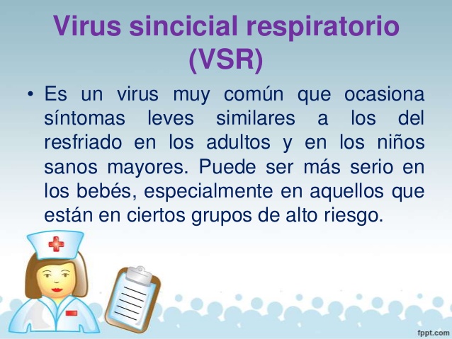 virus sinsicial