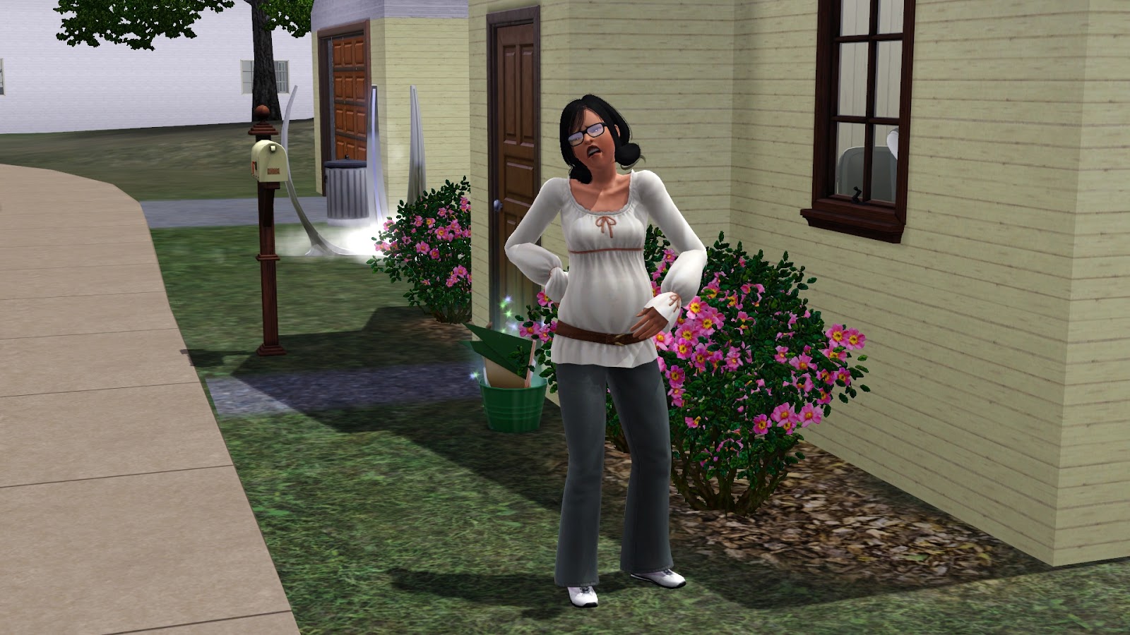 Pregnancy - Cantarella's Sims Page