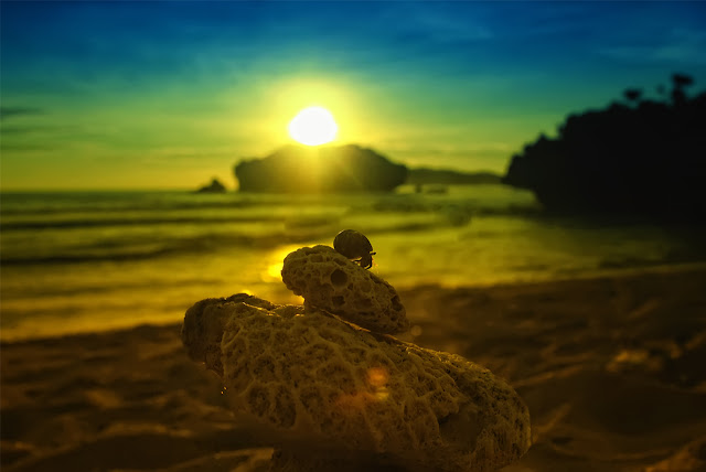 Jogja Seksi 5: Pemandangan Memikat Di Pantai Sundak, Yogyakarta. Pantai Sundak Bisa Buat Camping Jon!