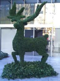Edward Scissorhands Topiary