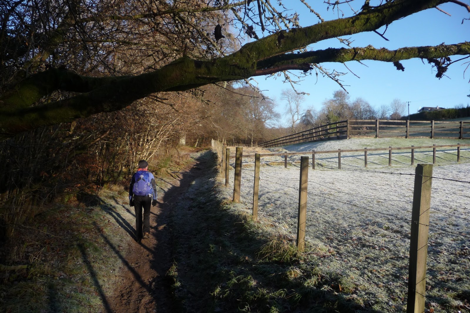 So, in my opinion... THAT DARN WALK