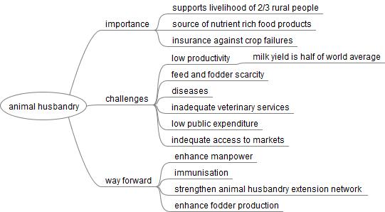 business plan of animal husbandry