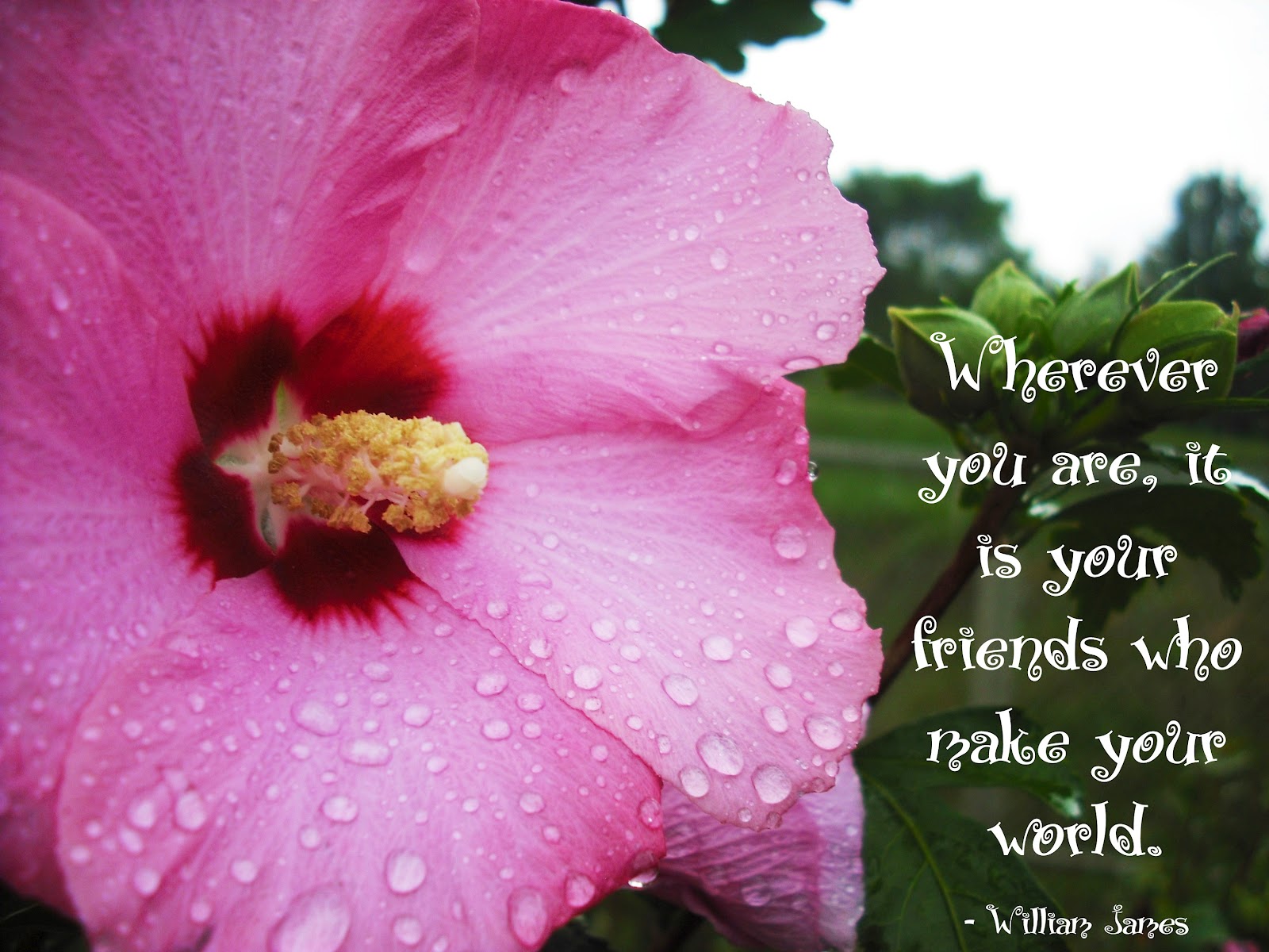 grateful4much August 2012