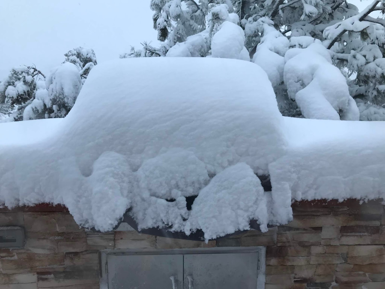 Colorado Springs EV Club Got snow tires?
