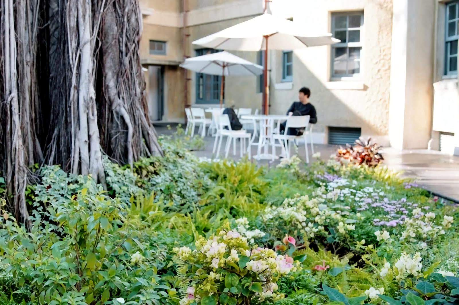 林志玲永久認養南美館1館花園|館方命名:「志玲姐姐幸福花園」
