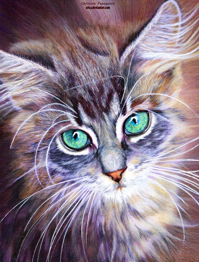 20+ Beautiful Realistic Cat Drawings To inspire you - Fine Art and You