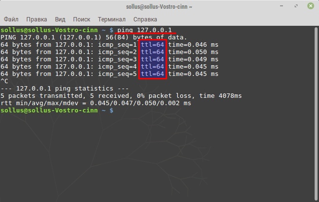 какой ттл на пк. пинг компьютера в командной строке. Ttl ос. смена ttl windows 10. какой ttl ставить.