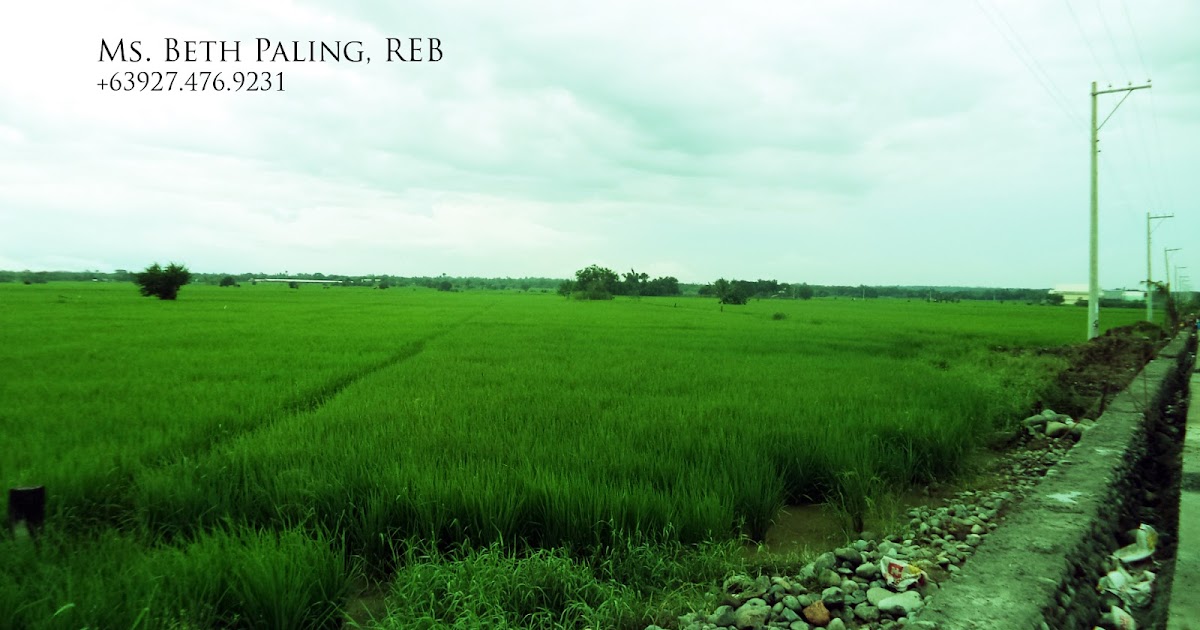 Pangasinan Properties For Sale Farm land in Barraca, Villasis, Pangasinan