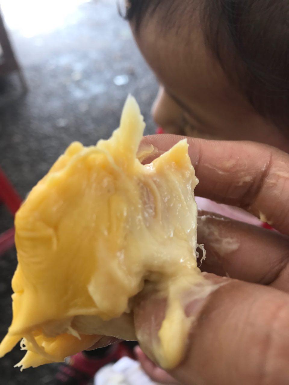 Tempat Makan Durian di Alor  Setar  Kedah Kereta Sewa Alor  
