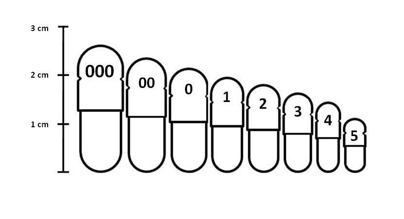 Gel Cap Size Chart