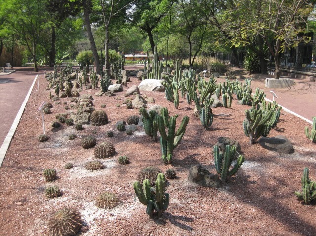 jardín Botánico Bosque de Chapultepec