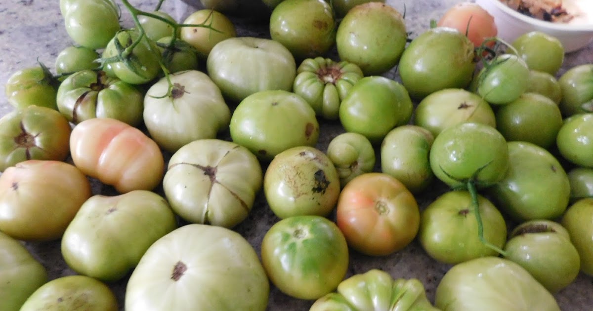 Enjoy Life Green Tomatoes Sauce using a Crockpot