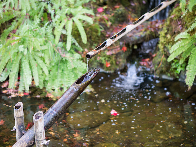 The Butchart Gardens