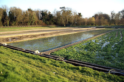 Watercress beds in Warnford, Hampshire