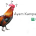 Ayam Kampung Tiruan
