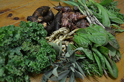 Mixed ingredients for a perennial vegetable winter meal