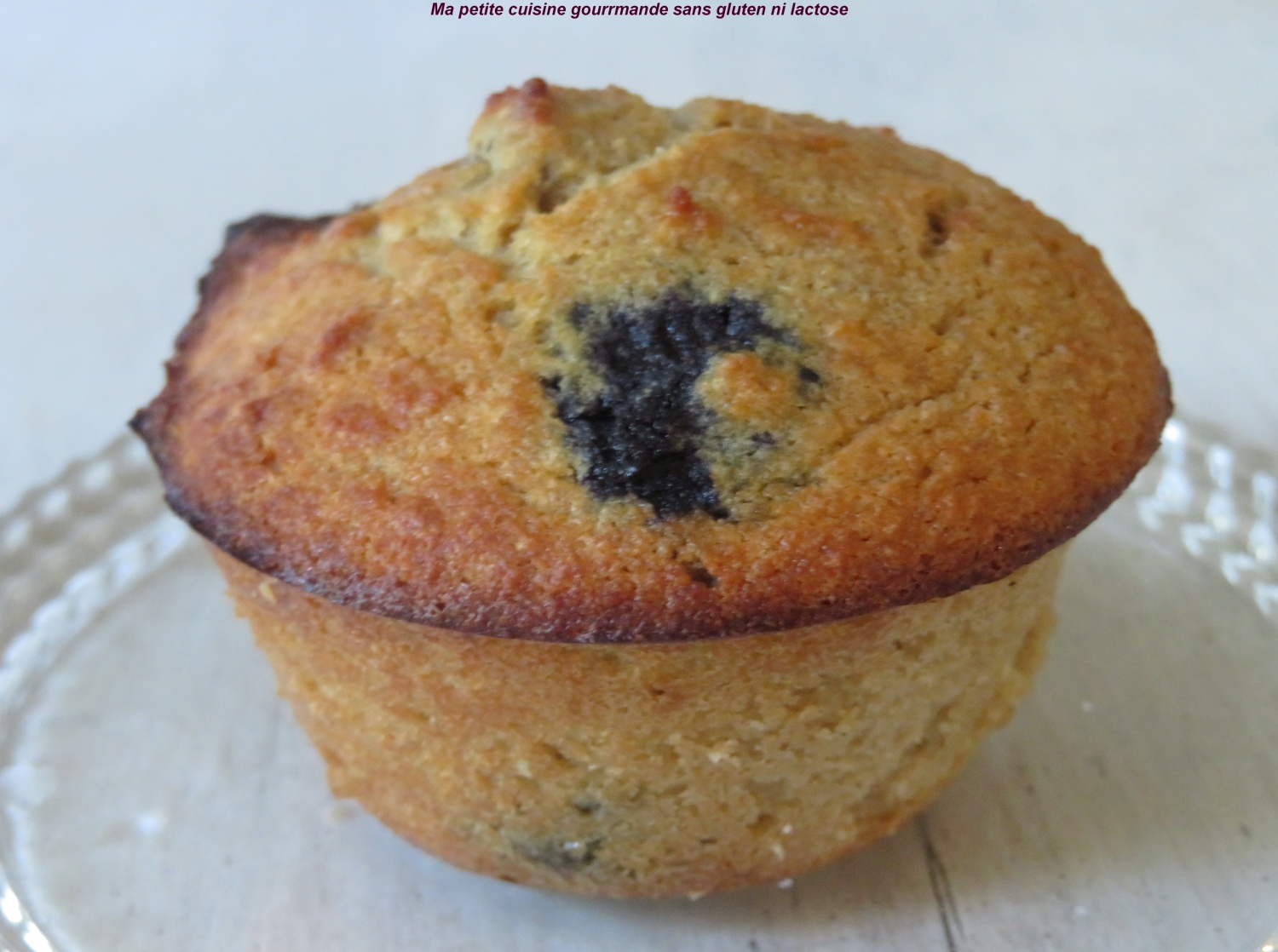 Muffins aux myrtilles et à la farine de noix de coco sans gluten et