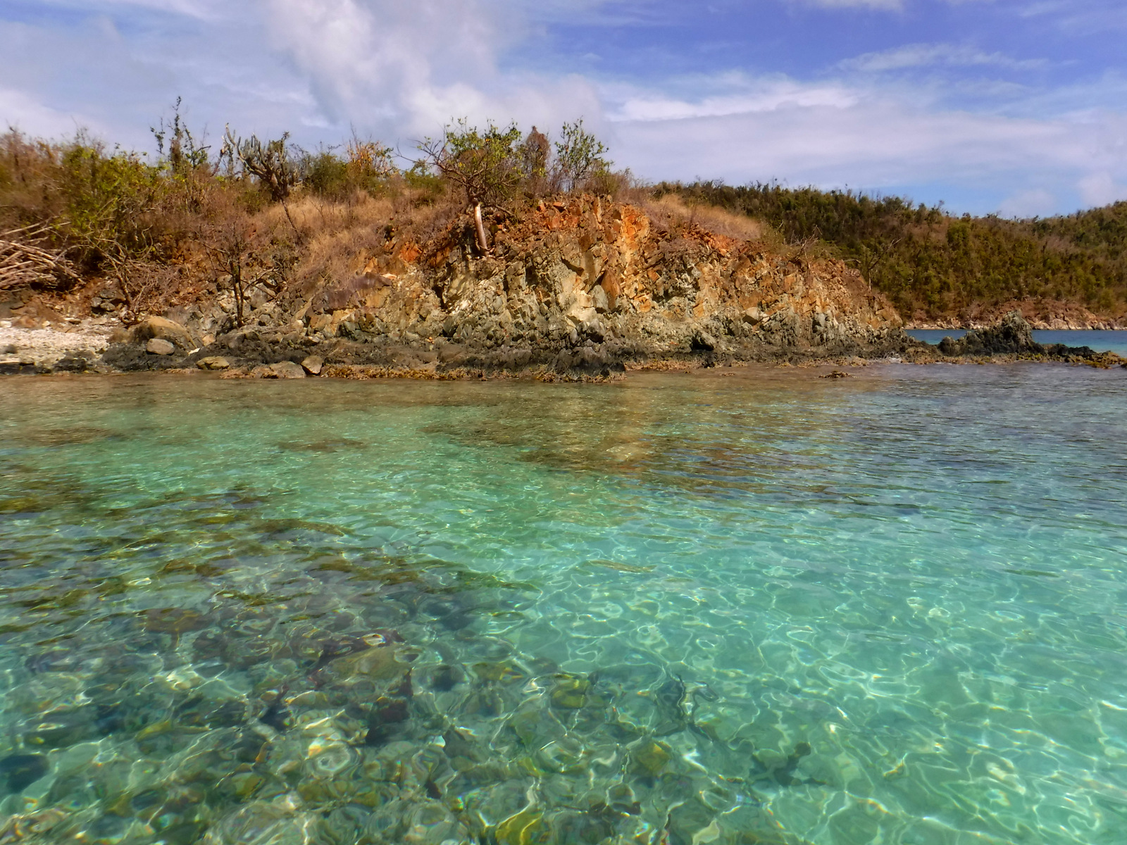 Virgin Islands Coral Reef National Monument Is Completely Underwater It's A Wondonful Life
