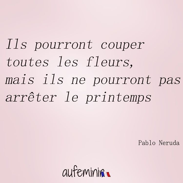 Journal D Art Quebec Citations Printanieres