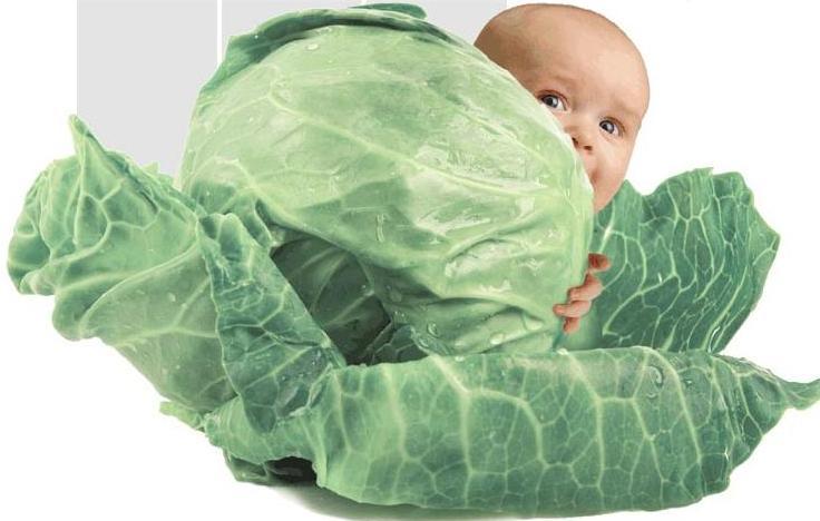 Все про ЭКО: Про ЭКО