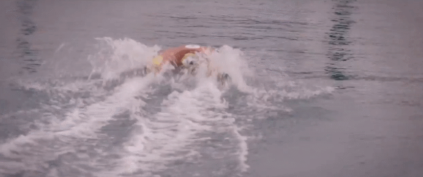 볼보에서 만든 인명구조용 RC