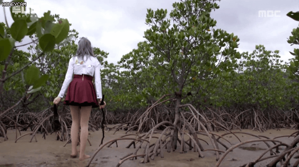 물고기는 싫은데 회는 좋타는 루다 | 인스티즈