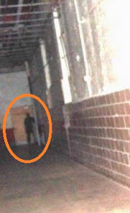 Shadow Man of West Virginia State Penn