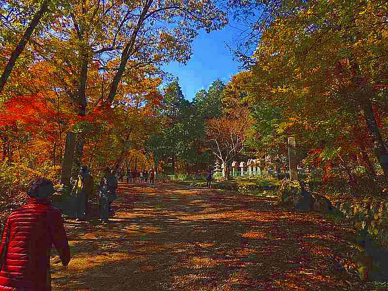 순천 조계산 선암사 순천 조계산 선암사