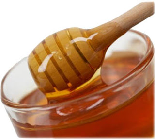 Honey | Sweet Food Made by Bees | Genus Apis