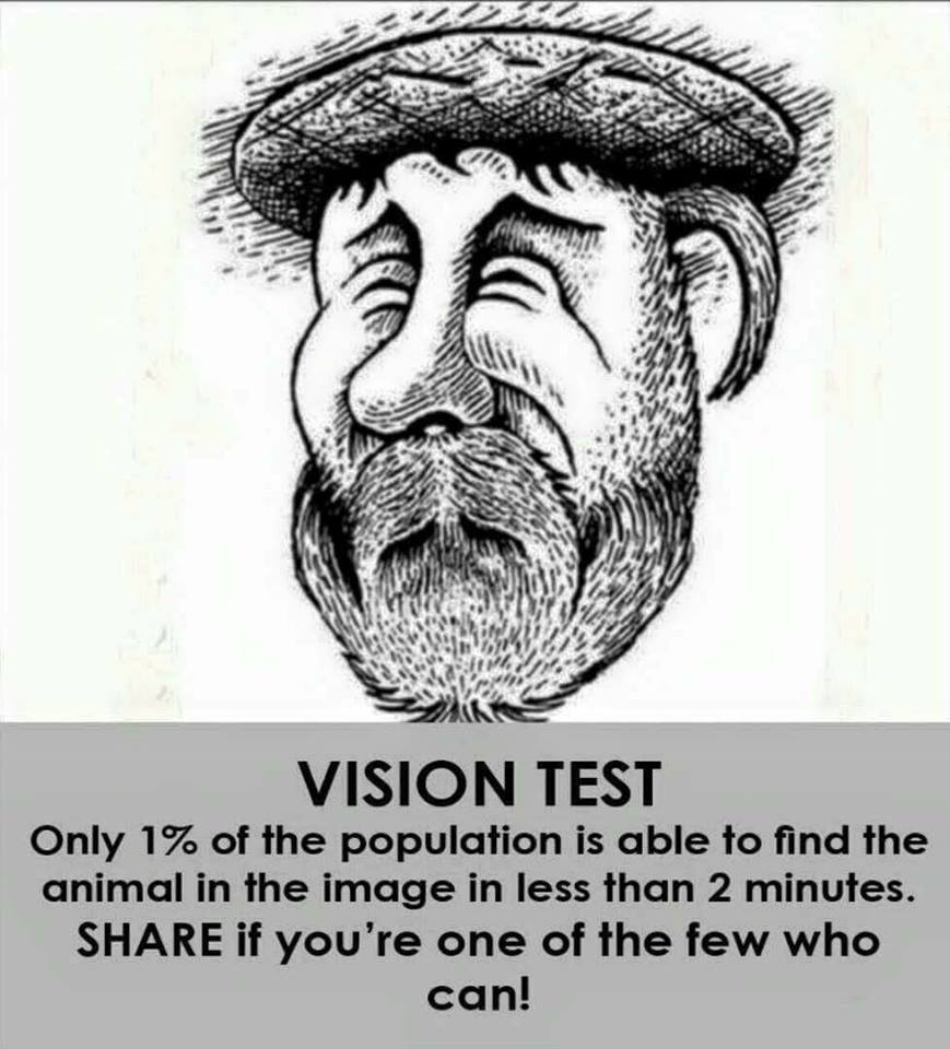 Optical Illusion Picture Brain Teaser with Answer