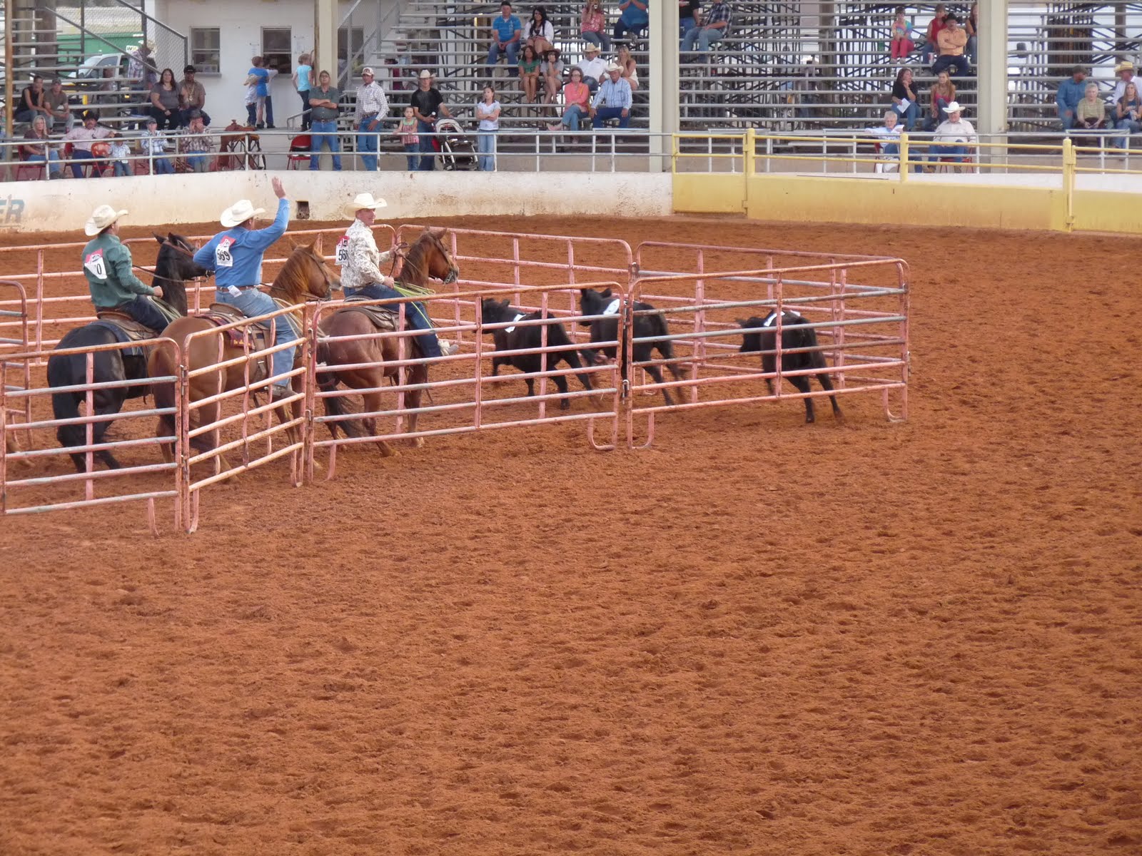 Amerika,een droom in vervulling? Rodeo in Lovington
