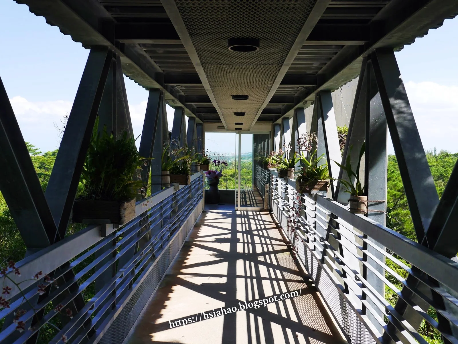 沖繩-推薦-景點-BIOS之丘-自由行-旅遊-Okinawa-ビオスの丘-bios-hill