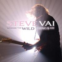 [2009] - Where The Wild Things Are [Live]
